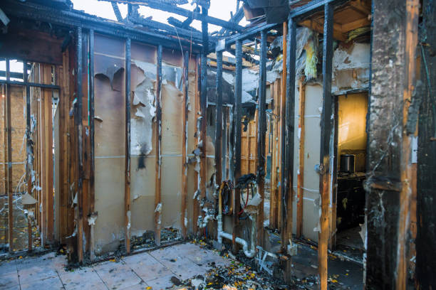 Professional Fire Damage Removal technician working in Pasadena, MD